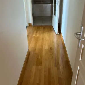  Peintre , ménage à domicile sur château lavallière