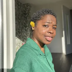 Femme de ménage à Roanne 42300