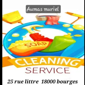 Petite fée du ménage Femme de ménage bourges