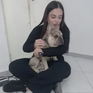 Pet sitting Caserta e dintorni