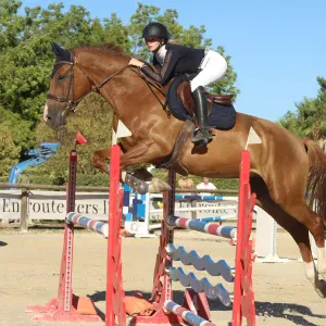 Baby Sitter depuis 3 ans sur Toulon 