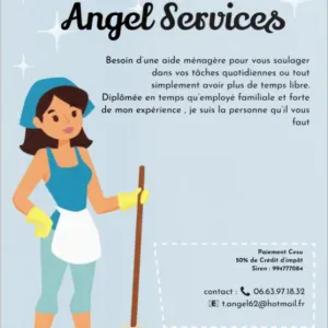 Aide ménagère entretien du domicile 