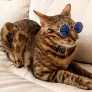 état des lieux de sortie