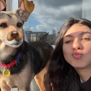 Pet sitting no centro de Guimarães 