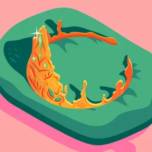 Auxiliaire de vie  Aide à domicile 