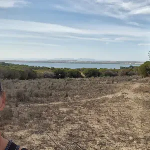 Ayudante a domicilio; niños, majores y mascotas