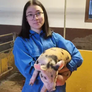 Djurpassning från djurvådare & Hundfrisör