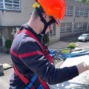 Garde d'animaux sur Dampierre saint Nicolas