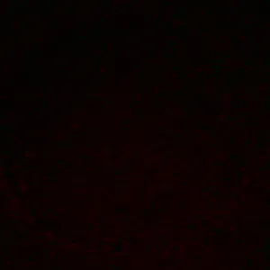 Jeune baby-sitter sérieux ponctuelle 