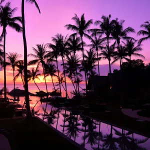 Pet-stitter à Clamart 92140 garde chien week- end 