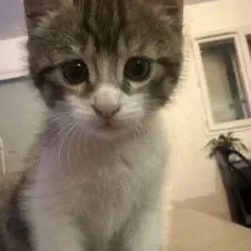 Offre d'emploi pour une baby-sitter à Caumont-Sur-Durance