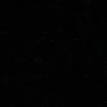 Je cherche quelqu'un pour garder mon chien