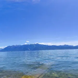 Expérience dans les maisons en Suisse