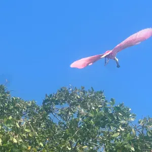 Recherche baby-sitter pour nos 2 enfants