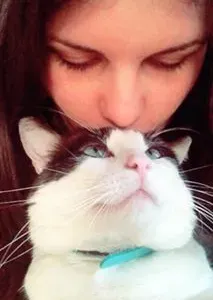 Garde de chat - Strasbourg et alentours