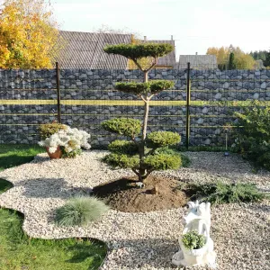 Gyvūnų priežiūra Kauno rajone, Čekiškėje