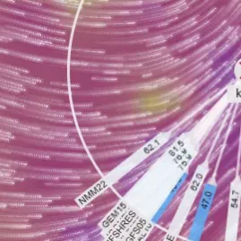 Explicações filosofia em lisboa