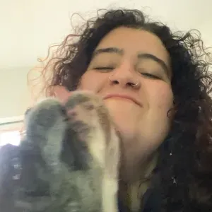 Pet sitting em Lisboa e arredores