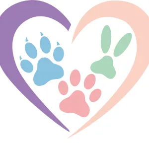 Persona specializzata in cat sitter e mediatrice felino