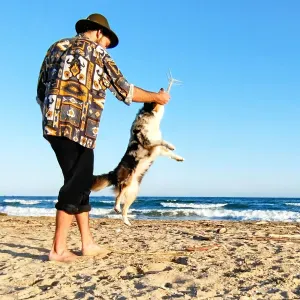 Offre d'emploi pour un(e) petsitter à Mouriès