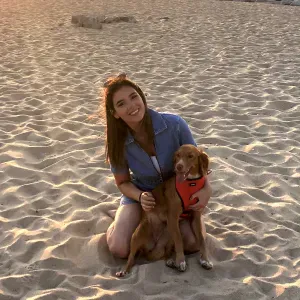 Disponível para cuidar de animais, visitá-los e alimentá-los