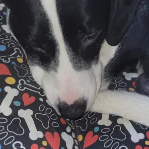 Aide a domicile aux alentours de Charleville-Mézières 