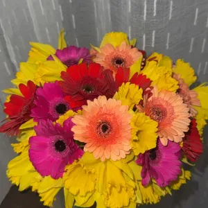 Aide à domicile pour accompagnement et aide quotidienne 