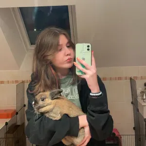 Pet-sitter qui peut se placer 