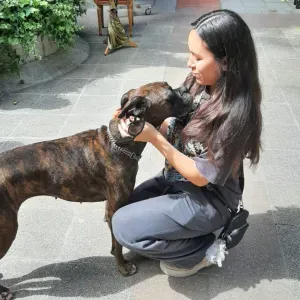 Disponible pour garder votre merveilleux toutou