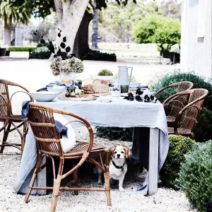 Cleaning in Valencia available 