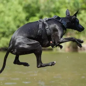 Aaaaaaaaaaa