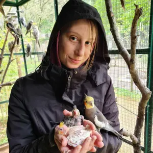 Pet sitter dans votre departement du trarn