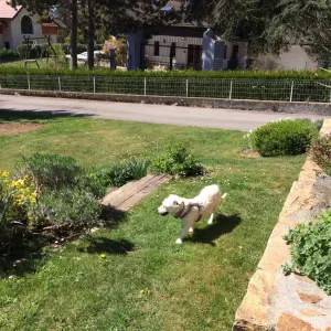 Baby sitter expérimentée Haute Savoie 