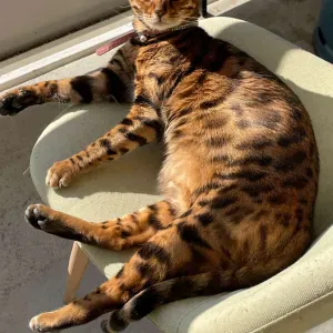 Recherche personne sérieuse 