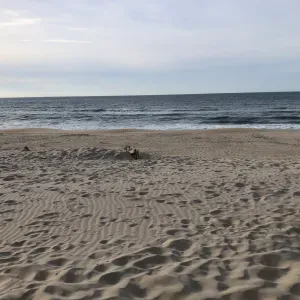 Aide ménagère à l'horizon Chuelles