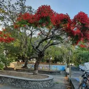 Je recherche une baby sitter occasionnellement 