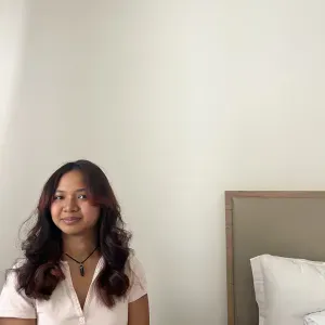 Femme de ménage / Aide ménagère
