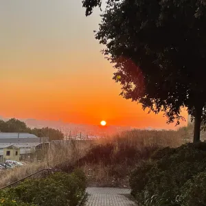 Health Assistant, Carer