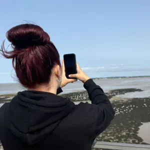 Recherche aide ménagère 
