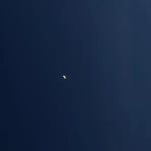 Tas, la pet-Sitter qu'il vous faut.