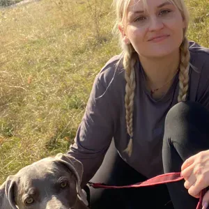 Pet siiting services and home keeping 