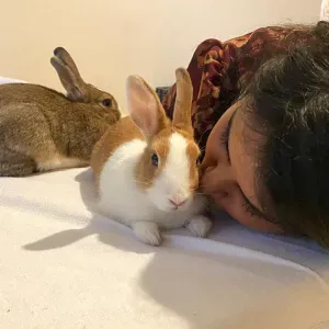 Pet sitter and pet care taker 