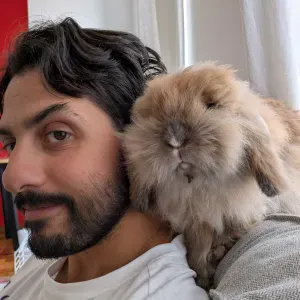 Rabbit: need pet sitting from 20 Dec to 3 Jan