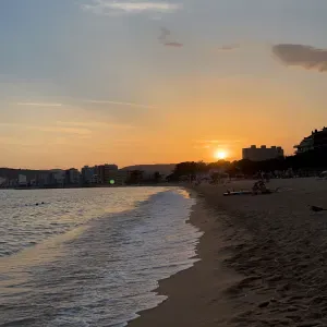 Baby-sitter volontaire et passionnée 