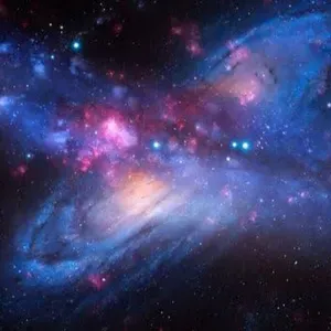 Pet-Sitter sur Liège et ses alentours 