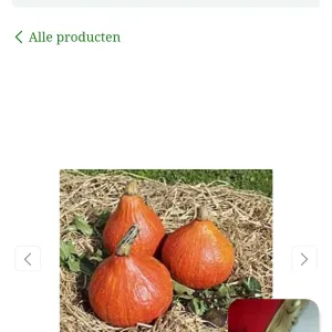 Famme de ménage a Mouscron J'avai doué pour  