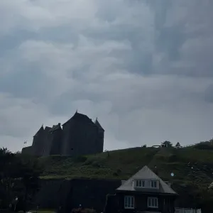 Je suis Pet sitter, je recherche des gardes et promenades 