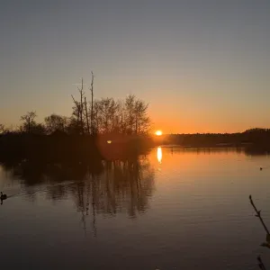 Baby-sitter à Dreux et alentours 