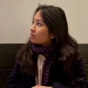 Baby-sitter expérimentée  Disponible sur Lille 