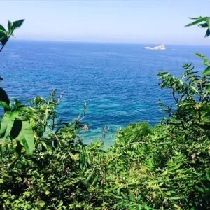 Cerchiamo Persona per Gestione Casa a Portoferraio Centro